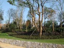 瑶湖师大,君汇半岛公寓;近地铁口,交通便利