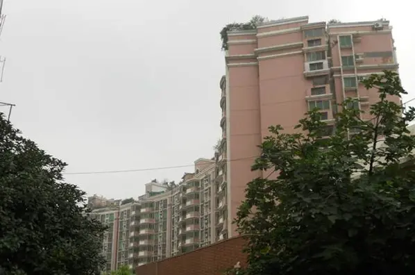 典雅居名雅阁实景图