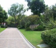 独栋别墅花园800平欢迎实地看房