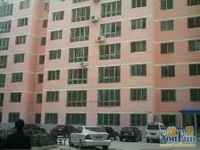 金悦府 新房 毛坯 有钥匙 小区环境好 人车分流