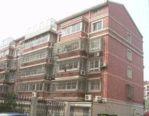 文定三村2室2厅东南