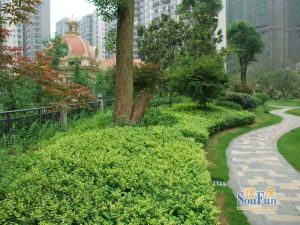 宜居莱茵城3室2厅南