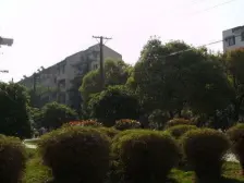 胥江路 楼层好 采光佳 三房户型正气 诚心出售