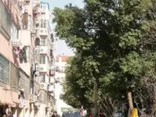 东环·东环路221号·2室·1厅