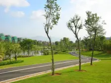 碧桂园清泉城 1室1厅 南 北