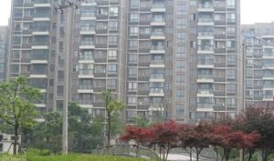 天城·河岸人家 3室2厅 南