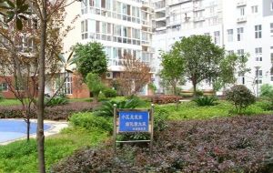 天翔新新家园 3室1厅 南