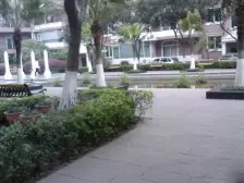 园丁园 3室2厅 东南