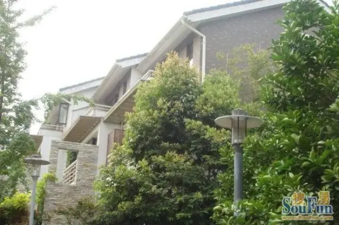 新里派克公馆别墅实景图
