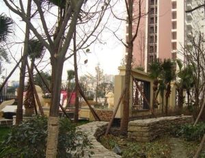 榕树岭3室2厅西南