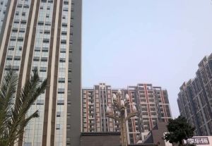 时代天城2室1厅南
