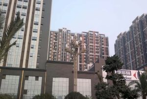 时代天城2室1厅南