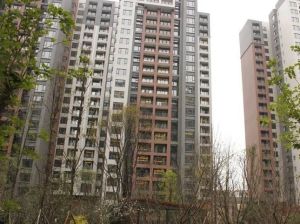 龙湖北城天街一期2室2厅南北