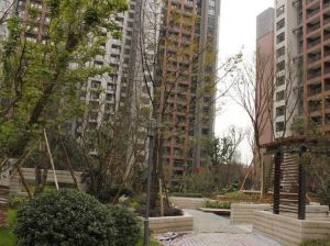 龙湖北城天街一期1室1厅西
