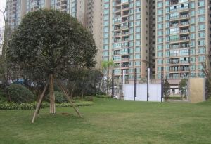 琥珀庭院4室2厅南北