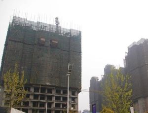 柳城印象2室1厅东南