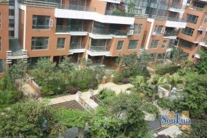 团结巷 3室2厅 东南 南 西南