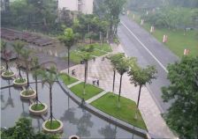 蓝岸A区 5室2厅 南