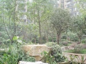 香木林馨苑4室2厅南北