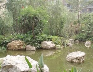 香木林馨苑 5室2厅 东