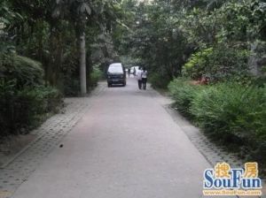 信禾人家(成华) 3室1厅 东南