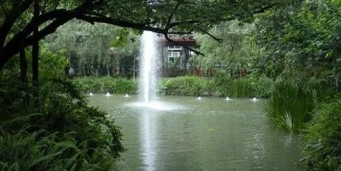 小区相关图