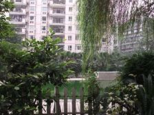 翠海庭4室2厅南北