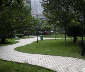 翠海庭 4室2厅 北