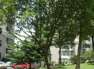 成都电业局宿舍2室1厅东南