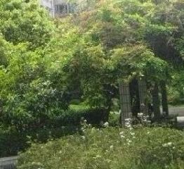 成都电业局宿舍2室2厅南