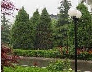 成都电业局宿舍3室2厅东南