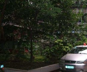 成都电业局宿舍2室2厅西南