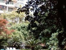 同乐苑 4室2厅 东南