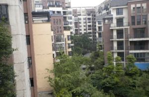 柏林河畔3室1厅东南