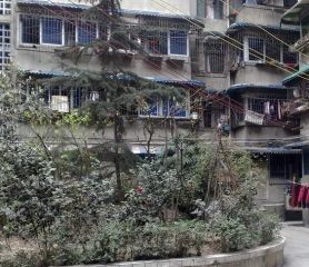 交通巷36号2室1厅东南