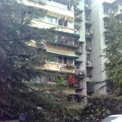 圃园南一路2号 2室1厅 南 北