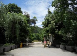 青城山水2室2厅南
