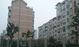 金房馨苑 3室1厅 西北