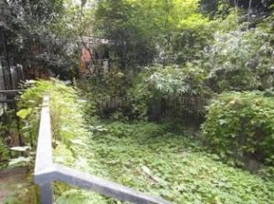 金房馨苑3室1厅南