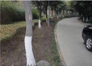 好家园2室2厅东南