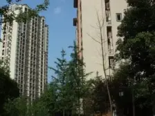 小区环境好,出行便利。住家安静。
