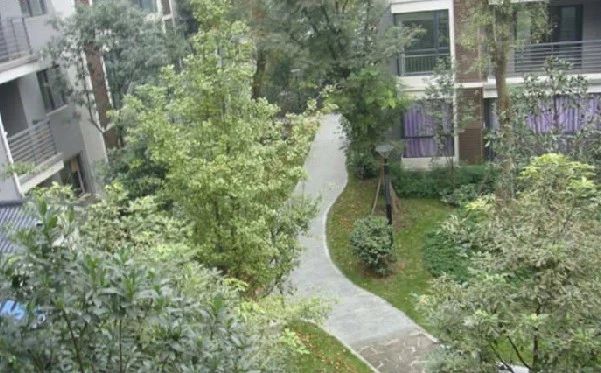 逸阳华庭实景图