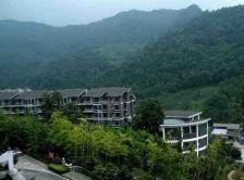天下青城D区 2室1厅 东南