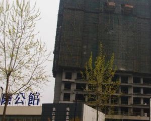 柳城印象2室1厅东南