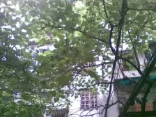 人,小,美专校街新世纪旁 电梯房