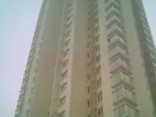 东瑞家园 1室1厅 南