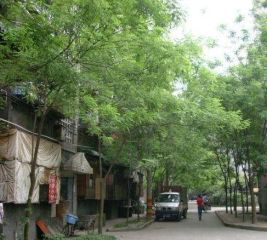 抚琴街北一巷1号1室1厅南