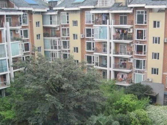 金房苑西苑实景图