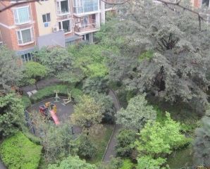 金房苑西苑 4室2厅 东南