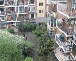 金房苑西苑 3室2厅 东南